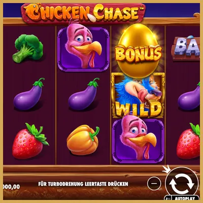 Chicken Chase Icon